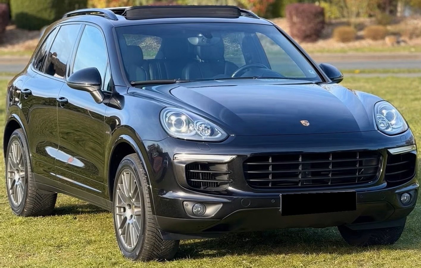Vehicle #10173 - Porsche Cayenne II Platinum Edition 3,0 Aut